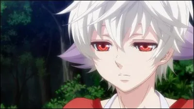 Je possède une ouïe exceptionnelle et un ancien bracelet I.D. de Circus. Je suis...