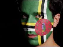 Cet homme arbore fièrement les couleurs du drapeau de son pays. Mais quel est ce pays ?