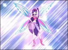 A quelle transformation les ailes Zoomix ressemblent-elles ?