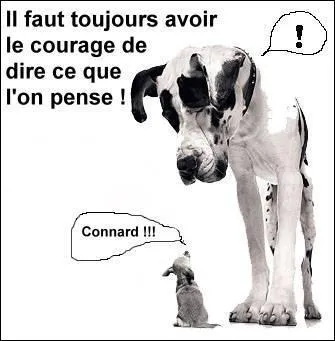 Quel terme n'est pas un synonyme d'osé ?