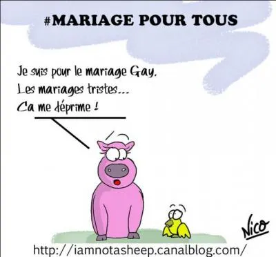 J'ai vaincu ma timidité légendaire, pour vous poser une question dont la réponse est "osée" : Un homosexuel est-il un homme sociable ?