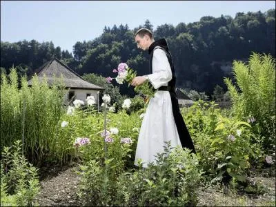 Petite question pour la route, quelle est la spécialité des Cisterciens ?