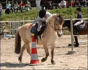 Et cette activité très appréciée par les enfants, s'appelle :