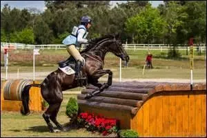 Et l'activité la plus impressionnante, comment s'appelle-t-elle ?