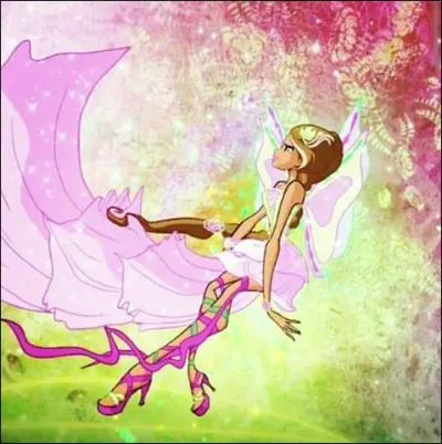 Quelle est cette transformation ?