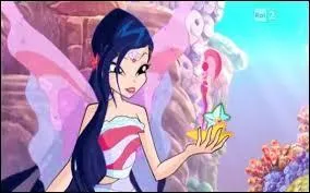 Comment se nomme l'objet qu'elles ont avec elles ?