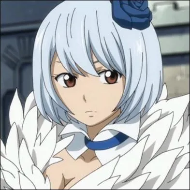 Quel personnage fait partie de "Fairy Tail" ?