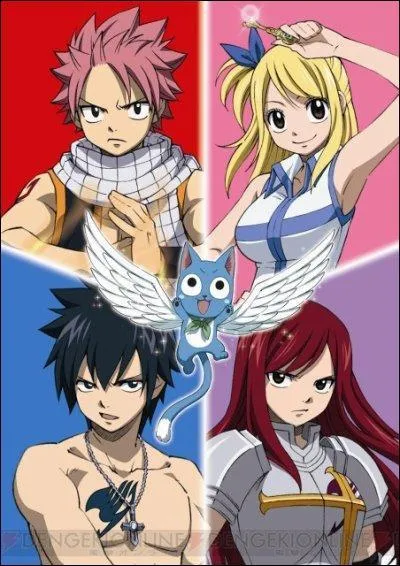Qui est Natsu Dragnir ?