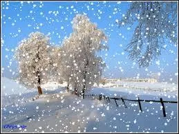 Quelle célébrité française a dit : "J'ai halluciné quand j'ai appris qu'il y avait de la neige au pôle sud. Moi qui viens du Sud, ça a été dur de reconnaître qu'il y avait de la neige dans le Sud. Je n'en reviens pas moi-même ! " ?