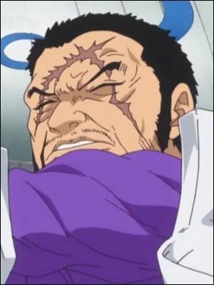 C'est un amiral de la Marine, il est l'un des principaux antagonistes de l'arc "Dresrosa". Il se nomme :