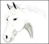 Dans ce cas, le cheval est... et le cavalier doit être...