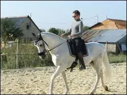 Comment fait-on pour avancer ?