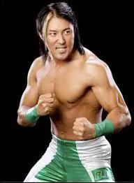 Comment s'appelle le finisher de Yoshi Tatsu ?