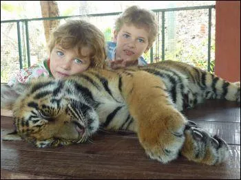 Ces deux enfants sont tout fiers, et la peluche de tigre a vraiment l'air d'&ecirc;tre un vrai tigre !