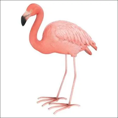 Quelle est la couleur du flamant rose ?