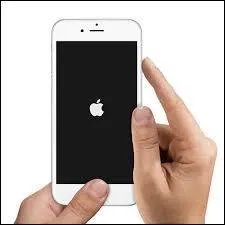 En quelle année apparaît la gamme de smartphones appelés "Iphone" de la marque Apple ?