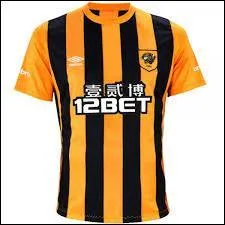 De quelle équipe est le maillot représenté sur la photo ?