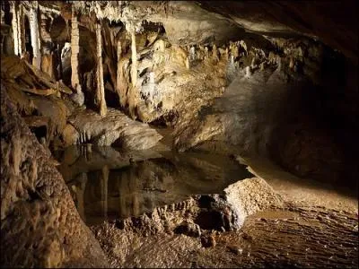 Les grottes de Han, en Belgique, sont situées près d'une rivière. Mais laquelle ?