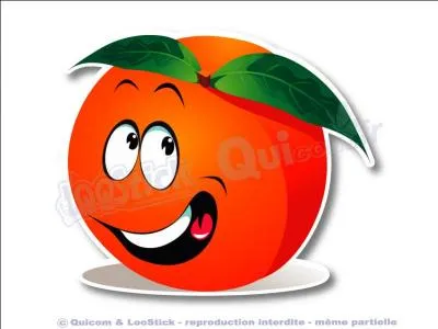 "L'adret" est exposé au soleil.