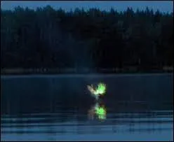 Qu'est-ce qu'un feu follet ?