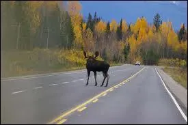 Quelle est la distance entre Paris et Varsovie ?