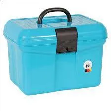 La(les) brosse(s) à utiliser lors d'un pansage complet est(sont) :