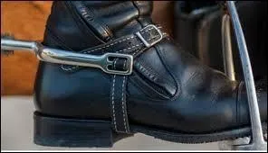 Qu'est-ce qu'un "éperon" ?