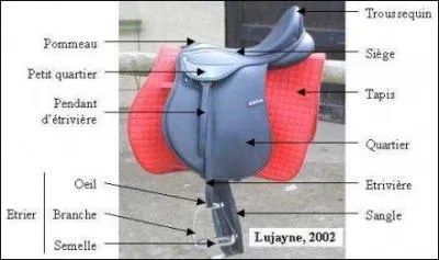 Attention, apprends bien ces parties, et celles du filet si tu veux 
passer ton galop ! (Réponds "oui" si tu as bien mémorisé)