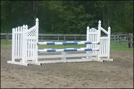 Un cheval ou un poney peut-il sauter un obstacle en biais ?