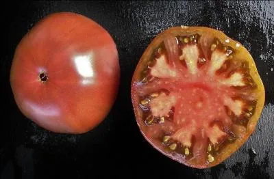 Et quelle est cette variété tardive, mais très productive ?