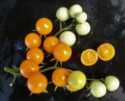 Pour terminer, quelle est cette variété un poil moins sucrée que toutes les autres précédemment citées ?