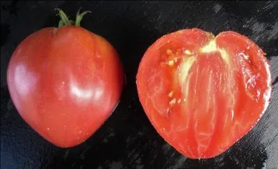 Cette tomate en forme de cur est une variété précoce, c'est...