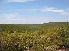 Géographie - Dans quel état américain se situe le mont Frissell ?