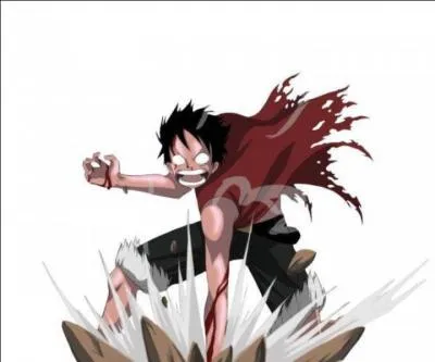 Parmi ces propositions, quelles sont les meilleures techniques de Luffy ?