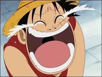 Pourquoi Zoro et Luffy rigolent-ils lorsqu'ils voient Pica ?