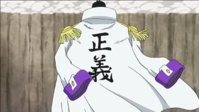 Combien y a-t-il eu d'amiraux en tout (y compris les amiraux en chef, hors- séries et exclu les vice-amiraux et les contre-amiraux) ?