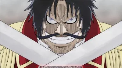 Sur Skypiéa, qui a connu Gold Roger ?