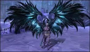 A partir de quel level peut-on avoir des ailes ?