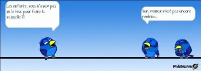 Si ton lave-vaisselle a tendance à faire exploser toutes tes assiettes et tes verres... '