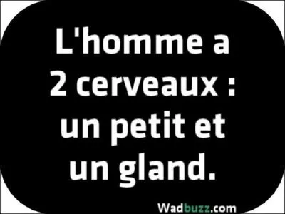 Pour être fort comme un chêne... '