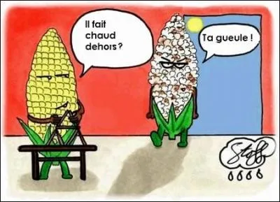 Canicule en été... '