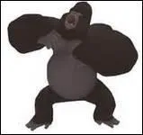 Comment s'appelle ce gorille ?