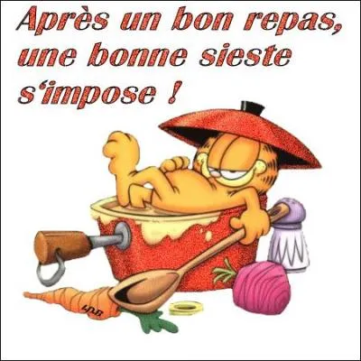 Voici Garfield dont la paresse est légendaire, que déteste-t-il ?