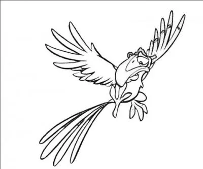 Quelles sont les couleurs de Zazou dans "Le Roi Lion" ?