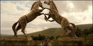 À quel peuple appartient-elle ?