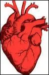 Quelle maladie affecte le myocarde ?