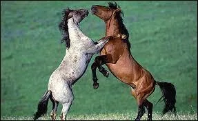 Dans cette situation, que dois-tu faire ?