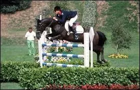 Comment se nomme cette pratique équestre ?