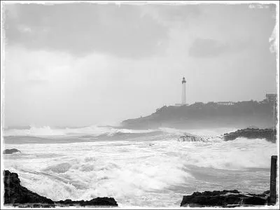 Qui chante "Une ville se fane dans les brouillards salés, la colère océane est trop près" ?