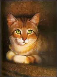 Avec qui s'est-elle liée d'amitié (et non d'amour) dans un autre clan ?